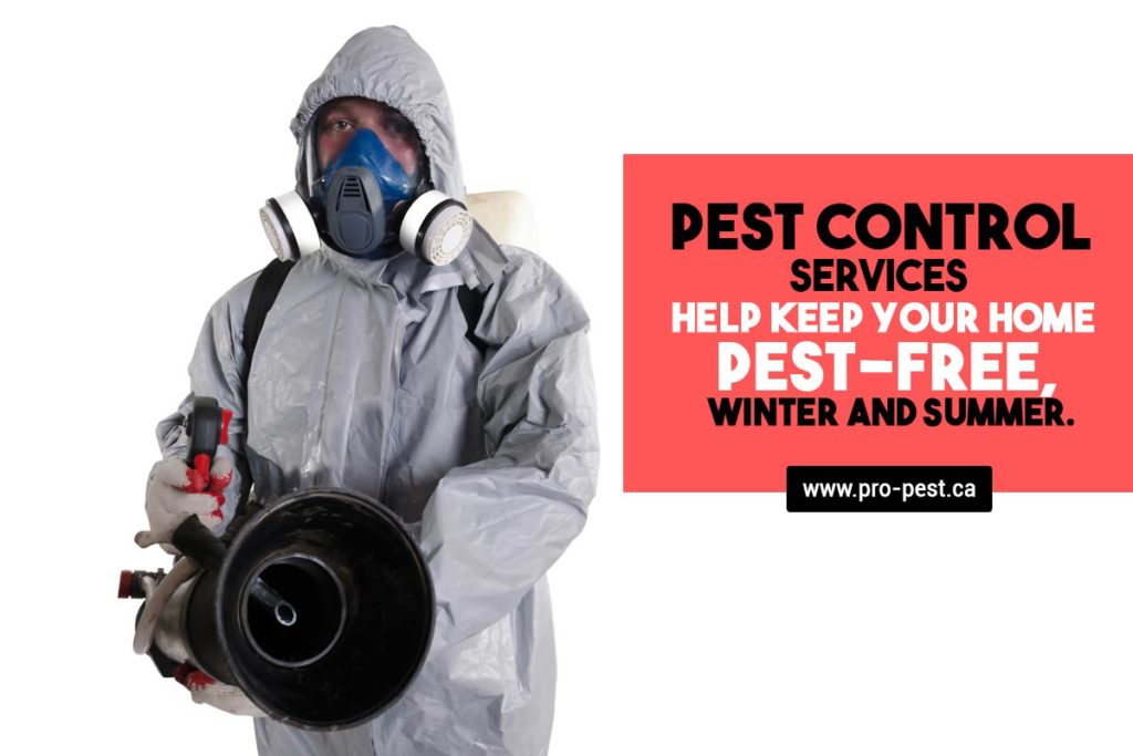 Pro Pest Corporation