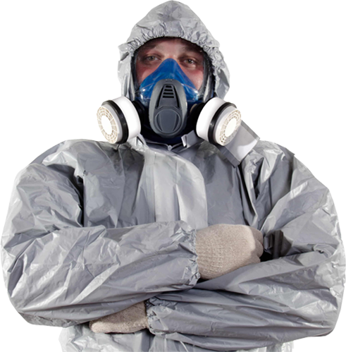 Pro Pest Controls