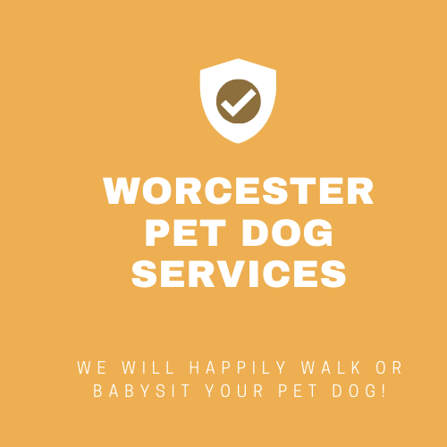 Worcester Pet Dog Services