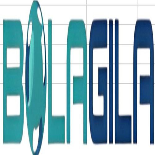 bolagilalockervn