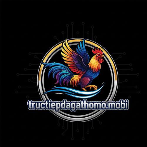tructiepdagathomomobii tructiepdagathomomobii