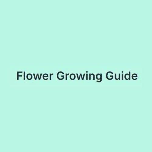flowergrowingguide