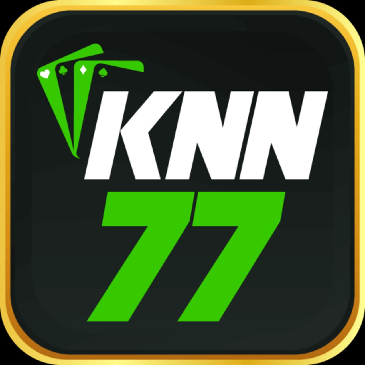 knn77vip