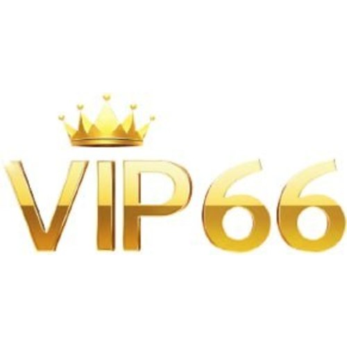  VIP66