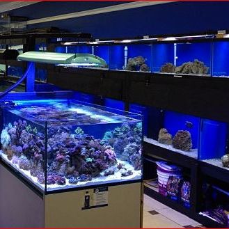 Underwater World Union