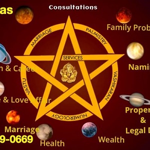Astrologer and Palm Reading