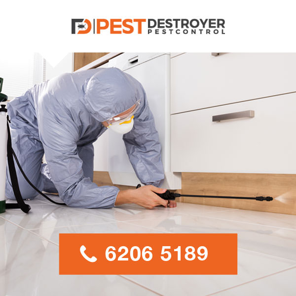 Pest Destroyer