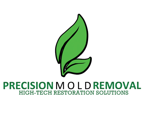 Precision Mold Removal