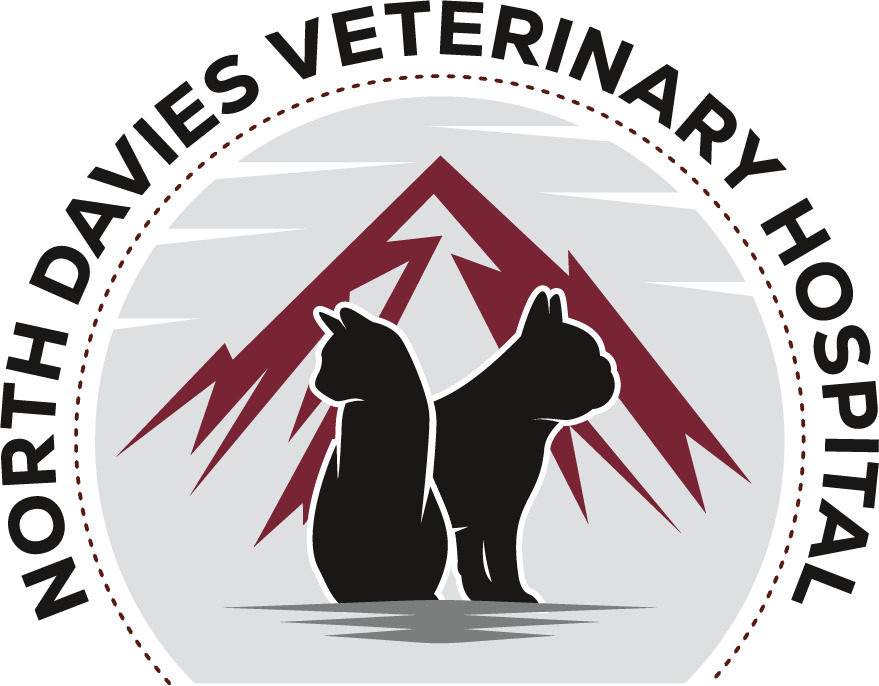 North Davies Veterinary Hospital