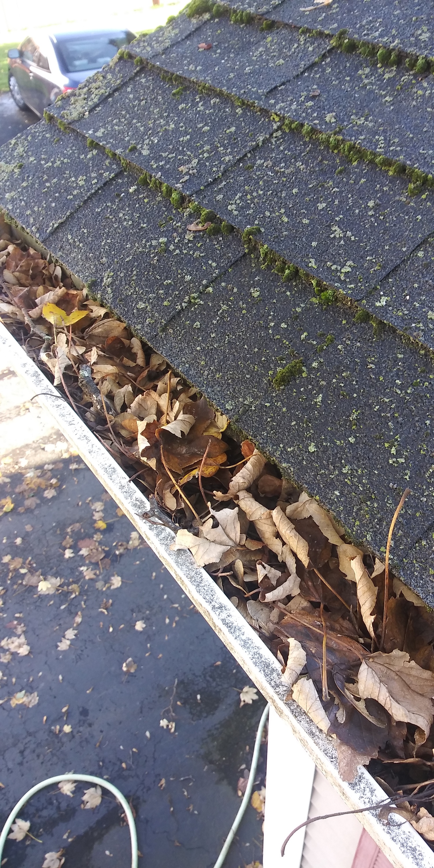 Clean Pro Gutter Cleaning Providence