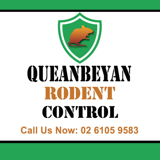 Queanbeyan Rodent Control