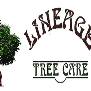 Lineage Tree Care LLC