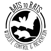 batstorats