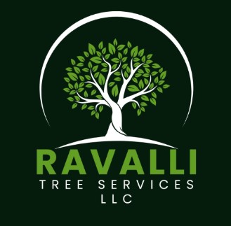 Ravalli Tree Services, LLC