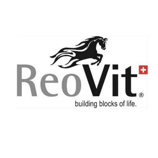 ReoVit - Horse Feed Suppliers in UAE