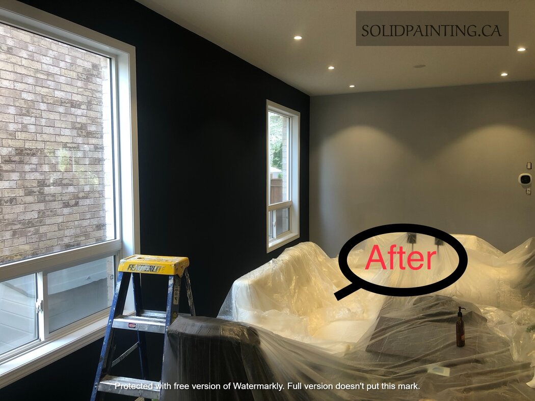 Solid Painting - Greater Toronto Area