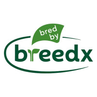BreedX | Specialty Vegetable Seed Breeding