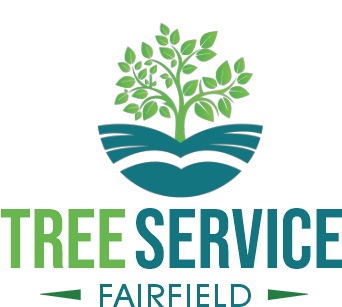 Tree Service Fairfield