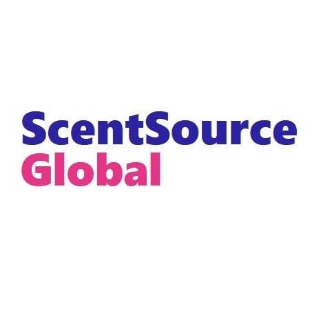 Best Perfume Wholesale In USA