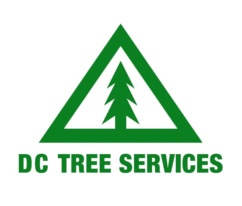 DC Tree Services