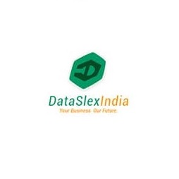 DataSlexIndia