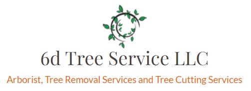 6d Tree Service LLC