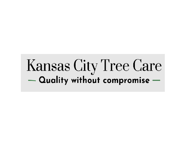 Kansas City Tree Care LLC