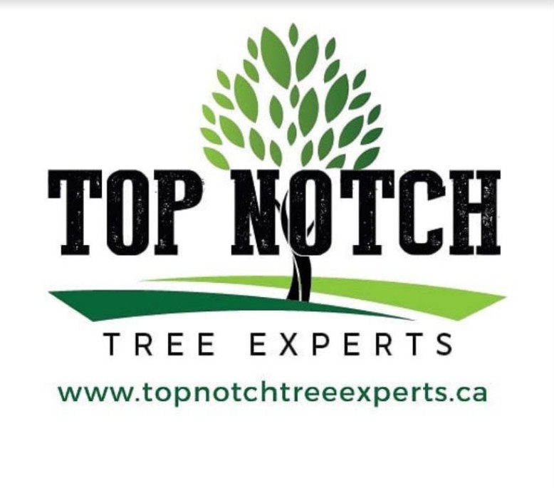 Top Notch Tree Experts