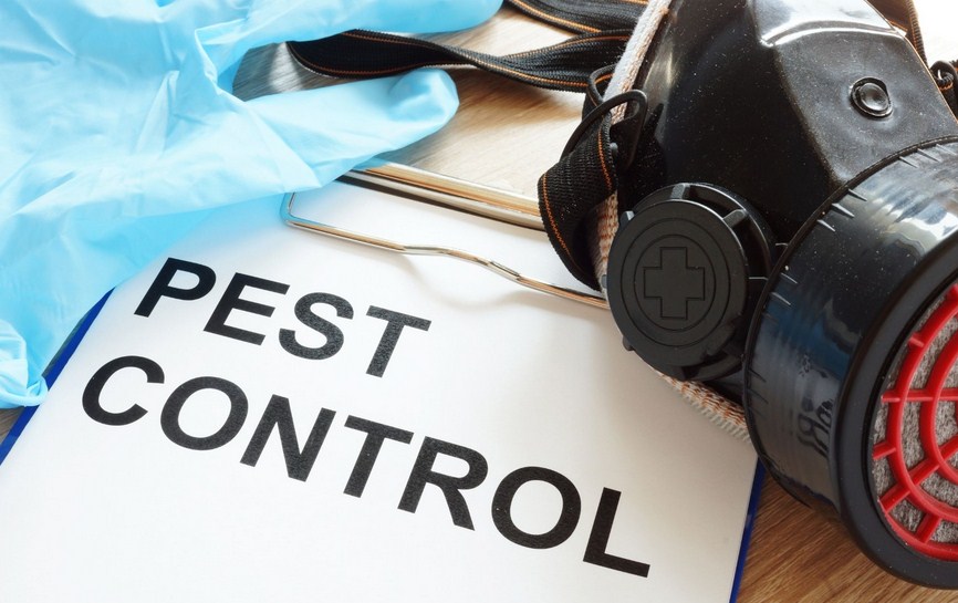 Jupiter Pest Control Solutions