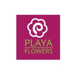 Playa Del Rey Florist & Flower Delivery