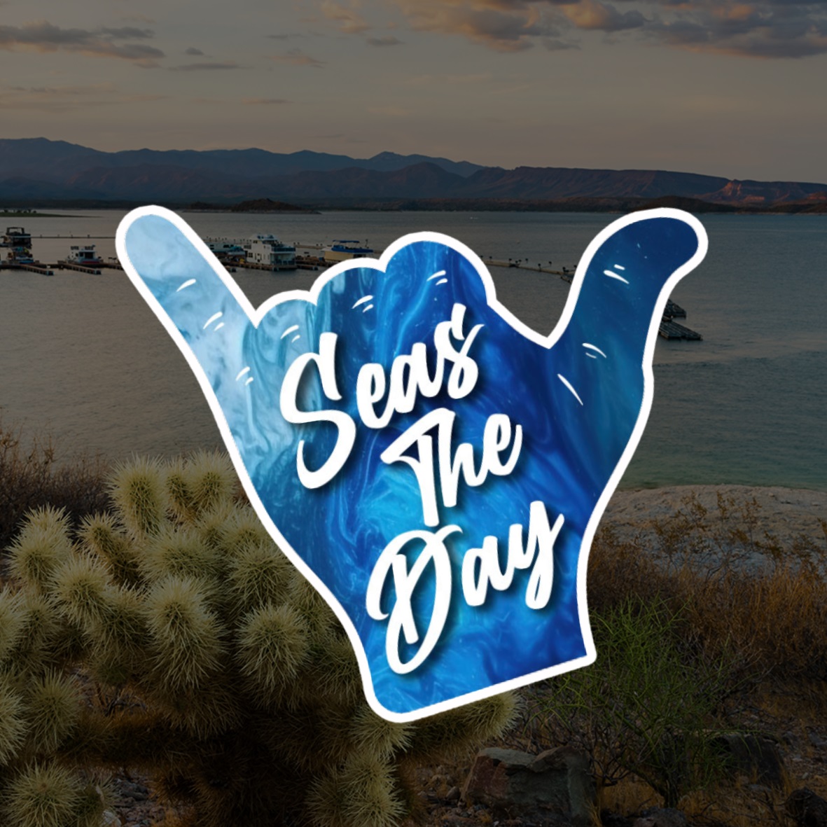 Seas The Day, Boat Rentals