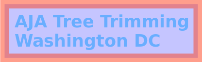 AJA Tree Trimming Washington DC