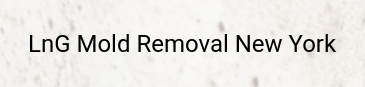 LnGMoldRemoval