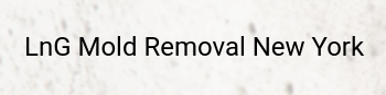 LnG Mold Removal New York