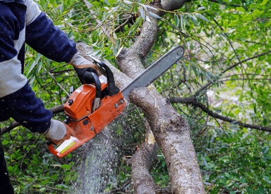 Atoka Tree Service