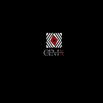 CEMX Floor