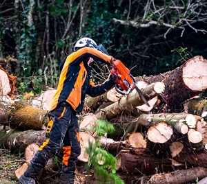 Shady Shelton Tree Service