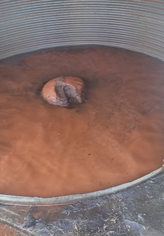 Rainwater Tank Cleaning Sydney | Transform Water