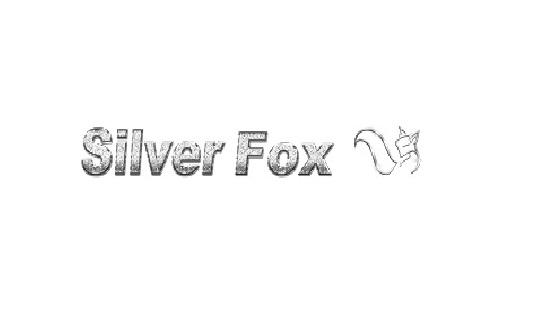 Silver Fox Massage