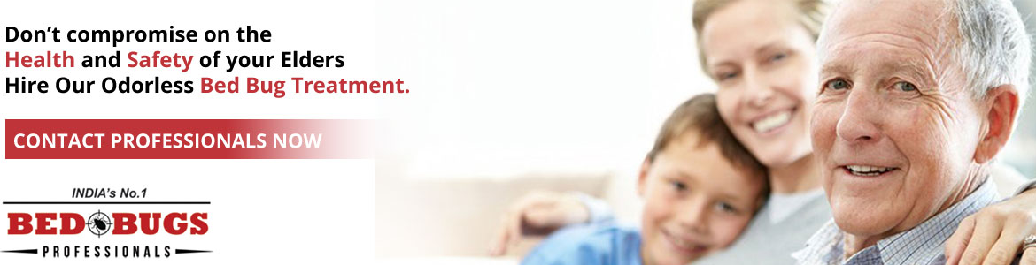 Bed Bugs Treatment