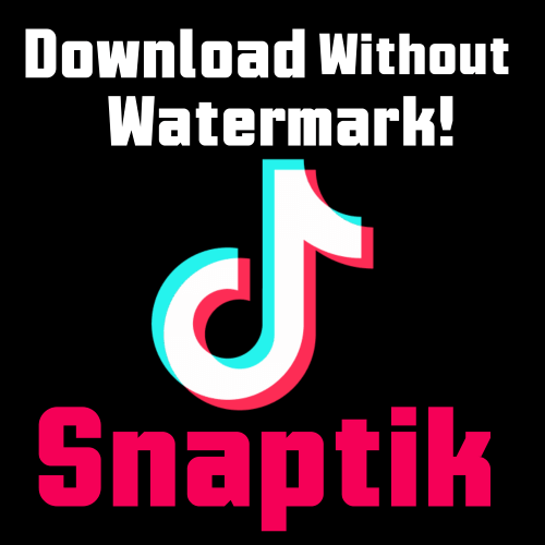 Snaptik - TikTok Downloader Without Watermark