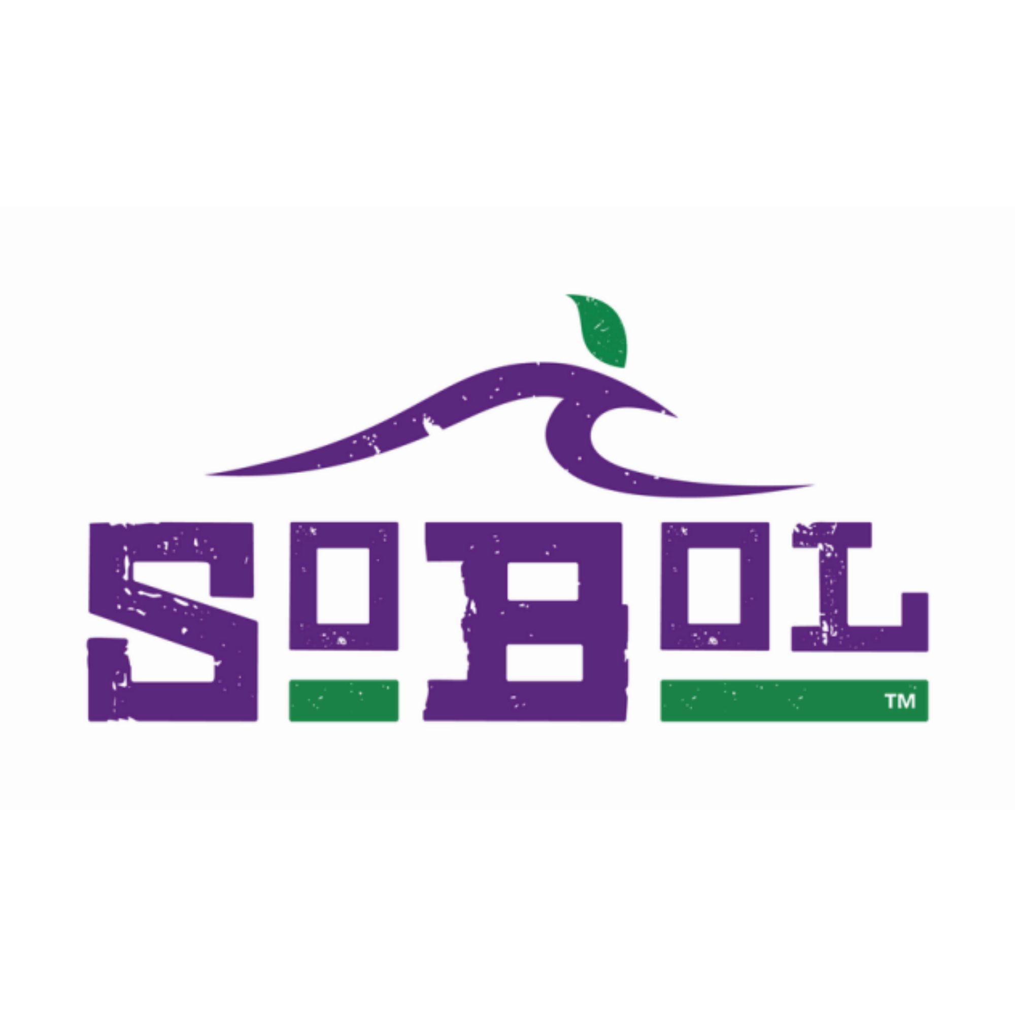 SoBol Inc. 