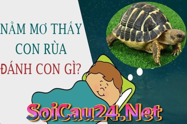 soicau24net