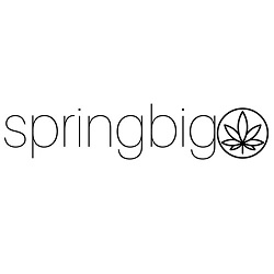 SpringBIG