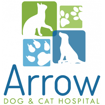 Arrow Dog And Cat Hospital