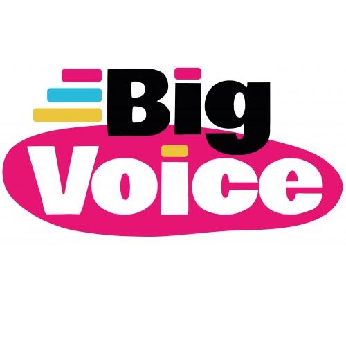 Big Voice Ltd