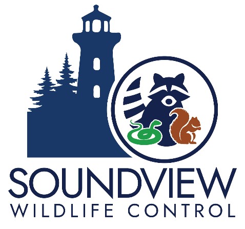 Soundview Wildlife Control