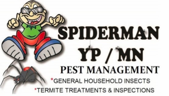 Spiderman YP