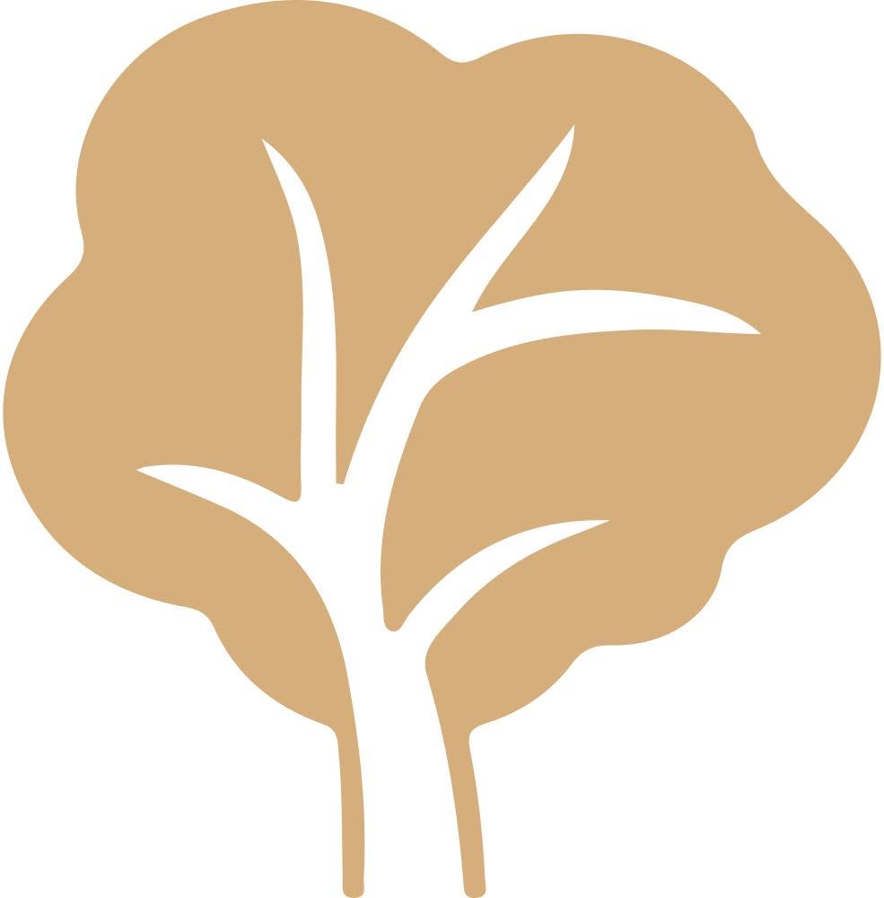 Canopy Arborist