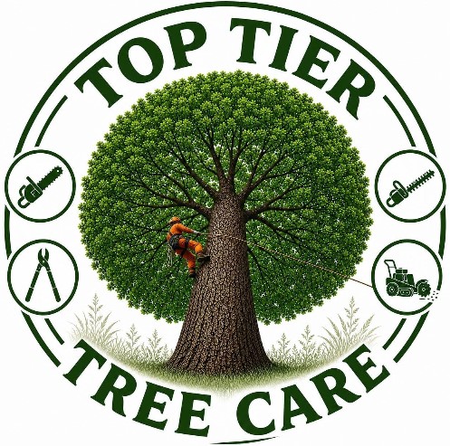 Top Tier Tree Care